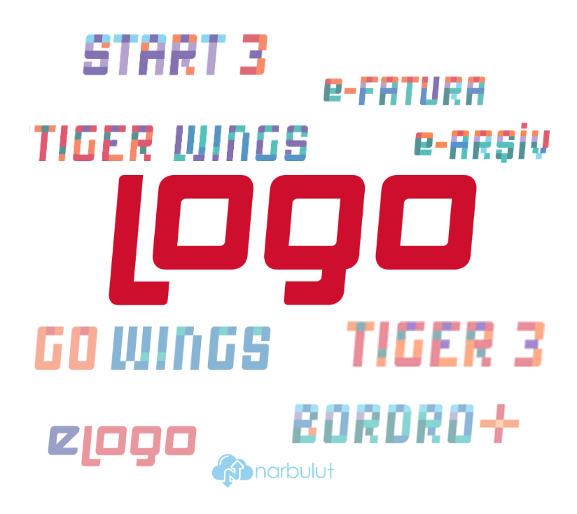 Logo Muhasebe Programı